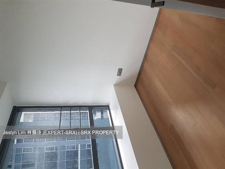 Skysuites@Anson (D2), Apartment #211089081